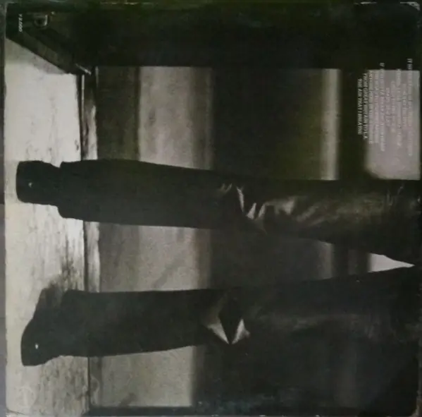 Albert Hammond - It Never Rains In Southern California 뒷면