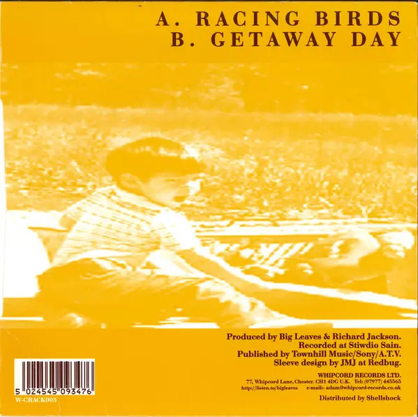 Big Leaves - Racing Birds 뒷면