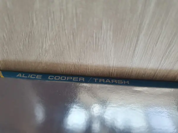 Alice Cooper - Trash 뒷면