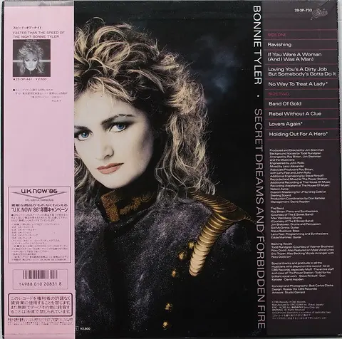 Bonnie Tyler - Secret Dreams And Forbidden Fire = 秘めた想い 뒷면