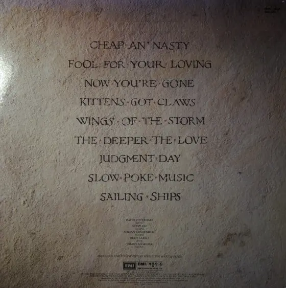 Whitesnake - Fool For Your Loving 뒷면