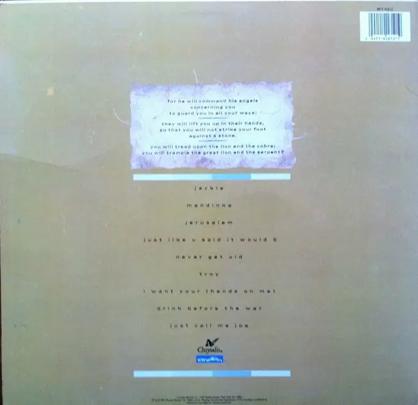 Sinéad O'Connor - The Lion And The Cobra 뒷면