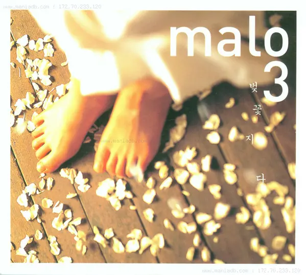 말로 - 3: Cherry Blossoms Are Gone 앞면