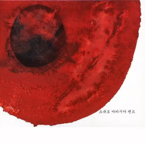 소규모 아카시아 밴드 -  소규모 아카시아 밴드 앞면