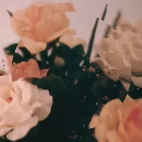 Melted Toys / Dominant Legs - Rose Again / Laughing The Whole Time 앞면