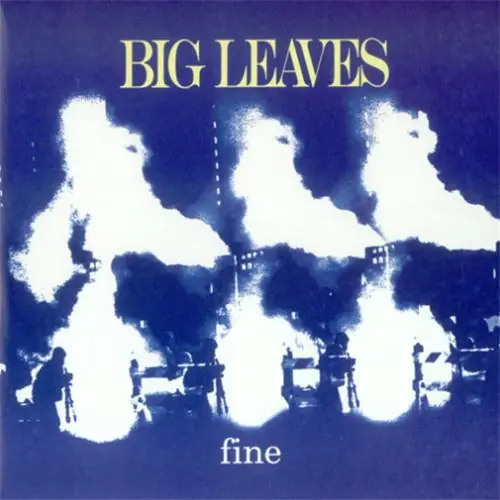 Big Leaves - Fine 앞면