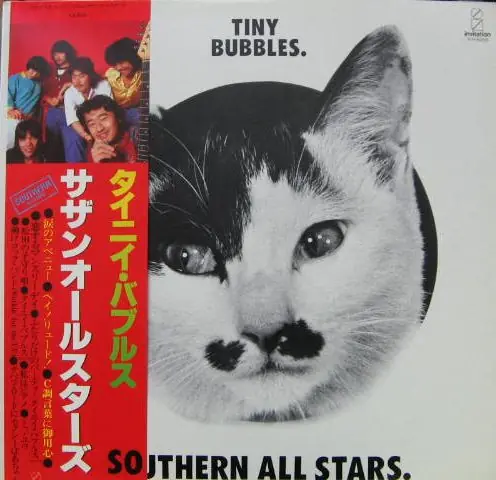 サザンオールスターズ - Tiny Bubbles = タイニイ・バブルス 앞면