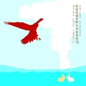 Sufjan Stevens - Enjoy Your Rabbit 앞면
