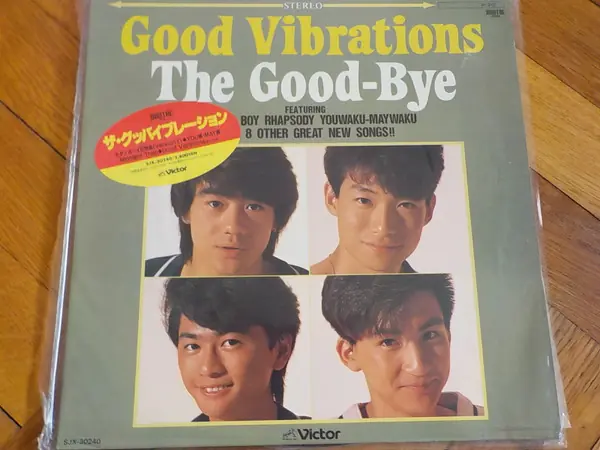 The Good-Bye - Good Vibrations 앞면