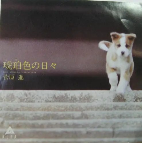菅原進 - 琥珀色の日々 앞면